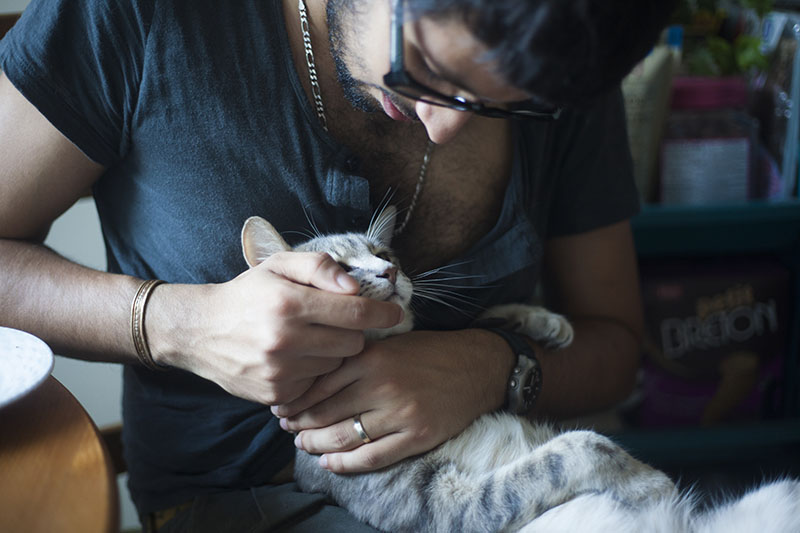 playing-with-kitty