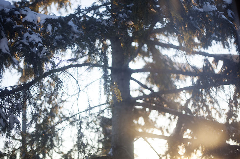 winter-pleasures